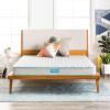imageLinenspa 6 Inch Mattress  Firm Feel  Bonnell Spring with Foam Layer  Mattress in a Box  Youth or Kids Bed  Guest Bedroom  Durable and Breathable Support  Affordable  Twin XL SizeQueen