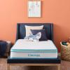 imageLinenspa 6 Inch Mattress  Firm Feel  Bonnell Spring with Foam Layer  Mattress in a Box  Youth or Kids Bed  Guest Bedroom  Durable and Breathable Support  Affordable  Twin XL SizeTwin XL